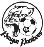Prague Panthers football